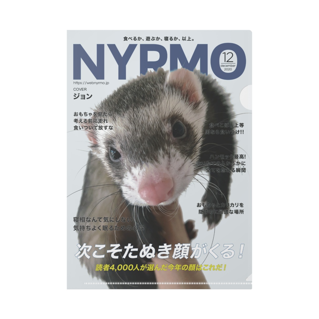 クリアファイル Nyrmo ぬん三郎商店 Booth