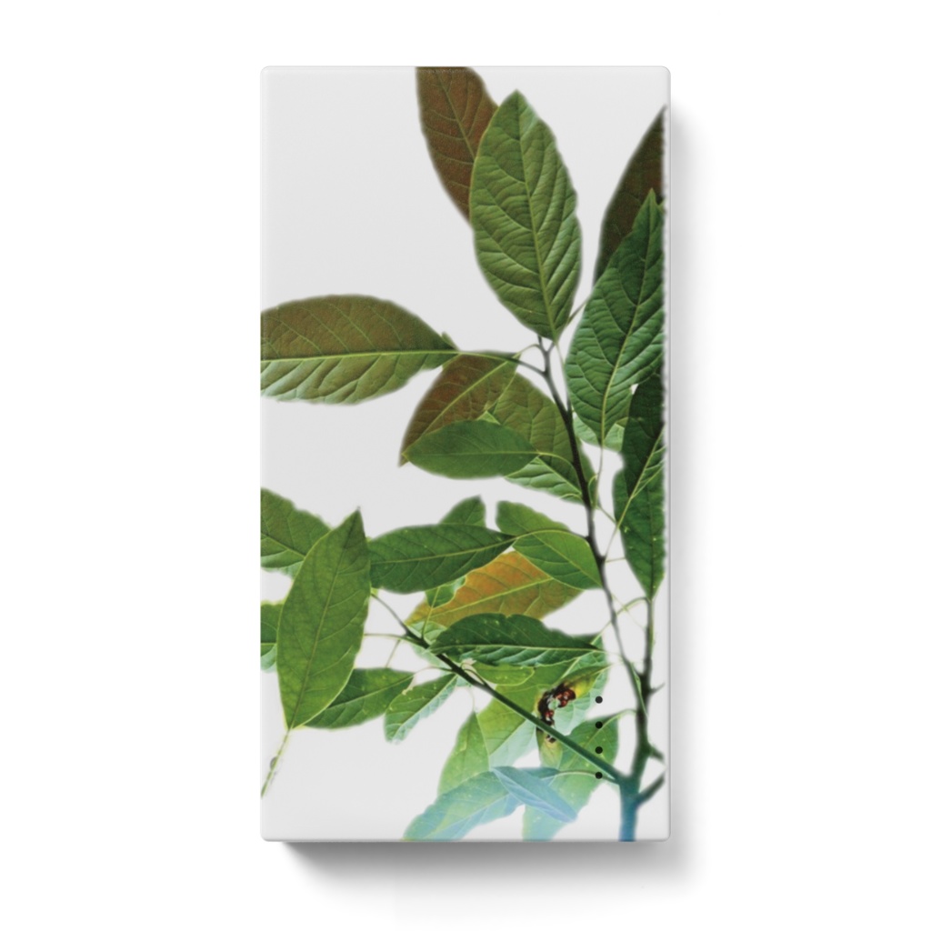 アボカドの葉っぱのモバイルバッテリー Veritist Booth