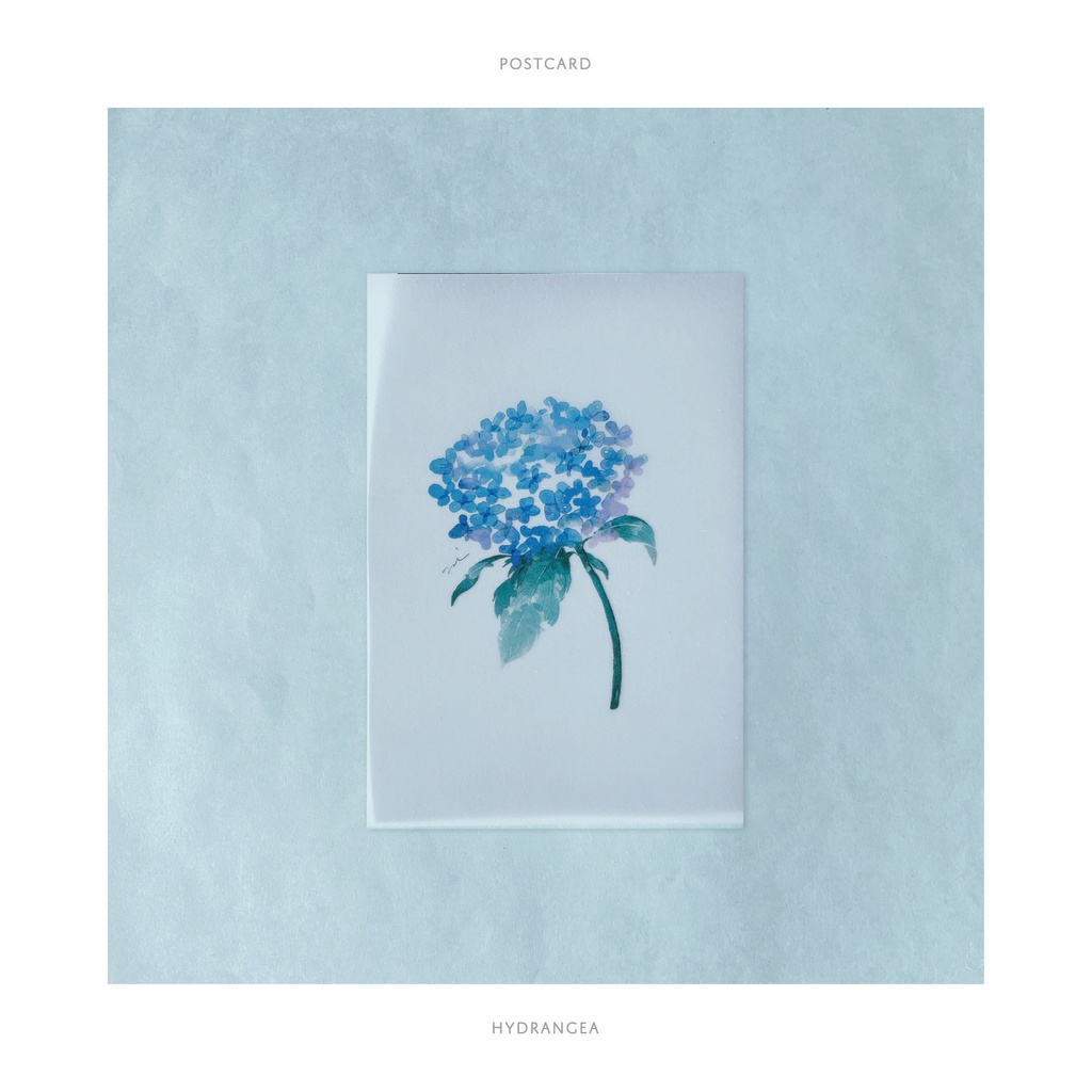ポストカード | 紫陽花