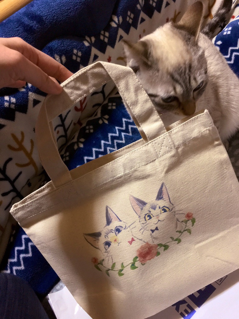 ネゴヂャンバッグ