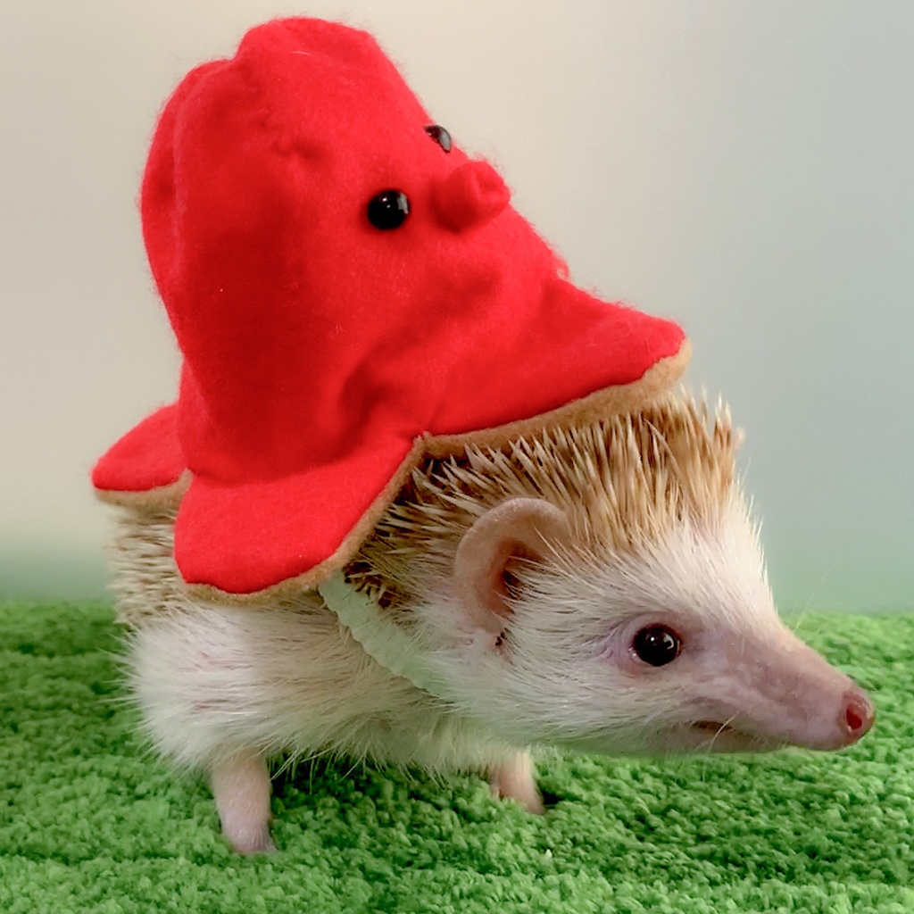 【型紙/Pattern】たこさんウィンナー・バナナの帽子/Octopus Wiener Banana Hat