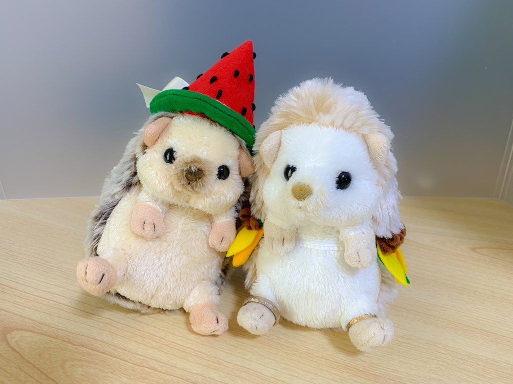 【型紙/Pattern】スイカの帽子/Watermelon hat