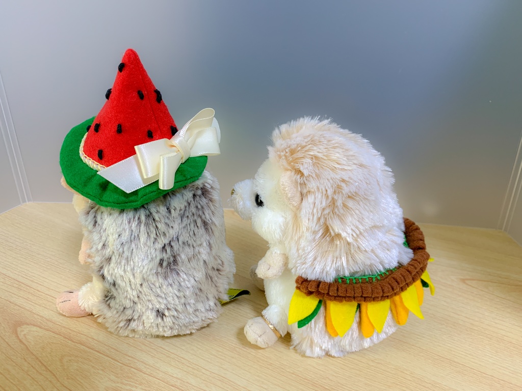 【型紙/Pattern】スイカの帽子/Watermelon hat