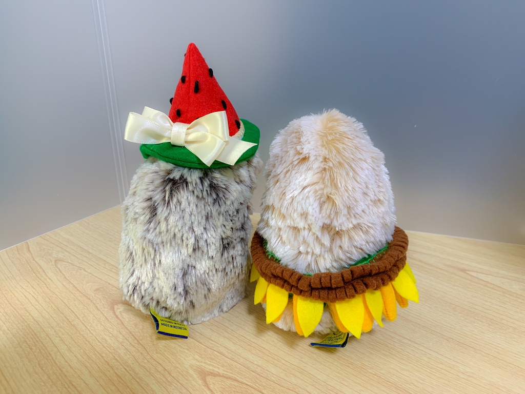 【型紙/Pattern】スイカの帽子/Watermelon hat