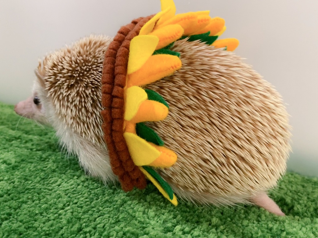 【型紙/Pattern】ひまわりのスカート/Sunflower skirt