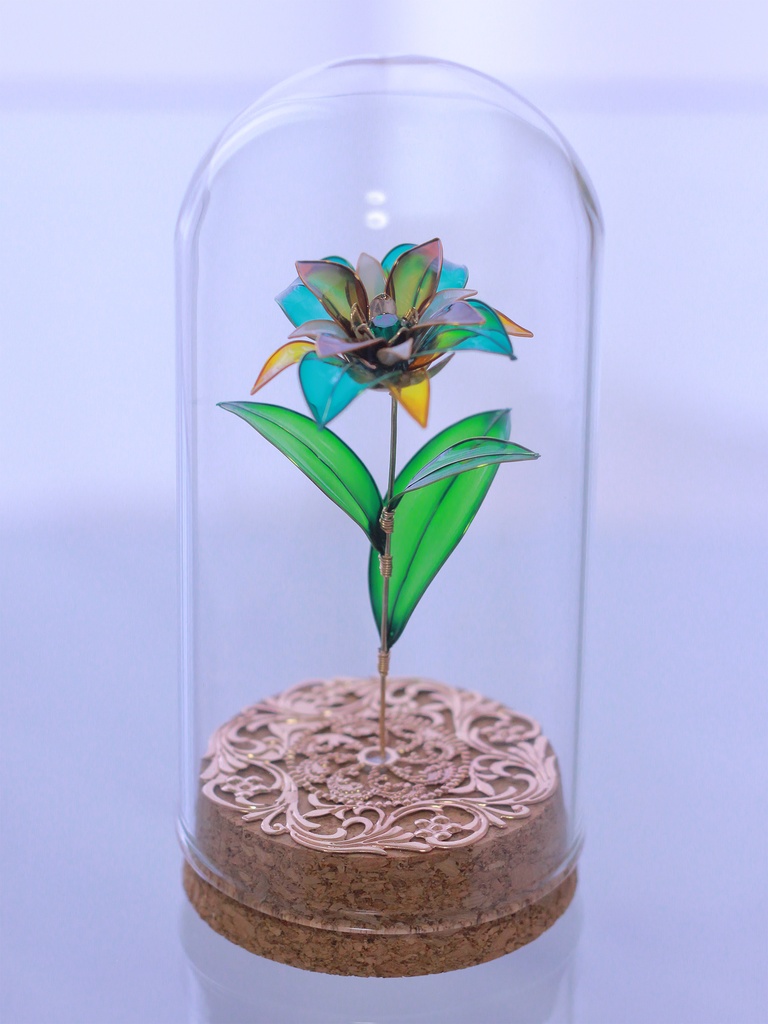 【崩スタ】モチーフ植物標本