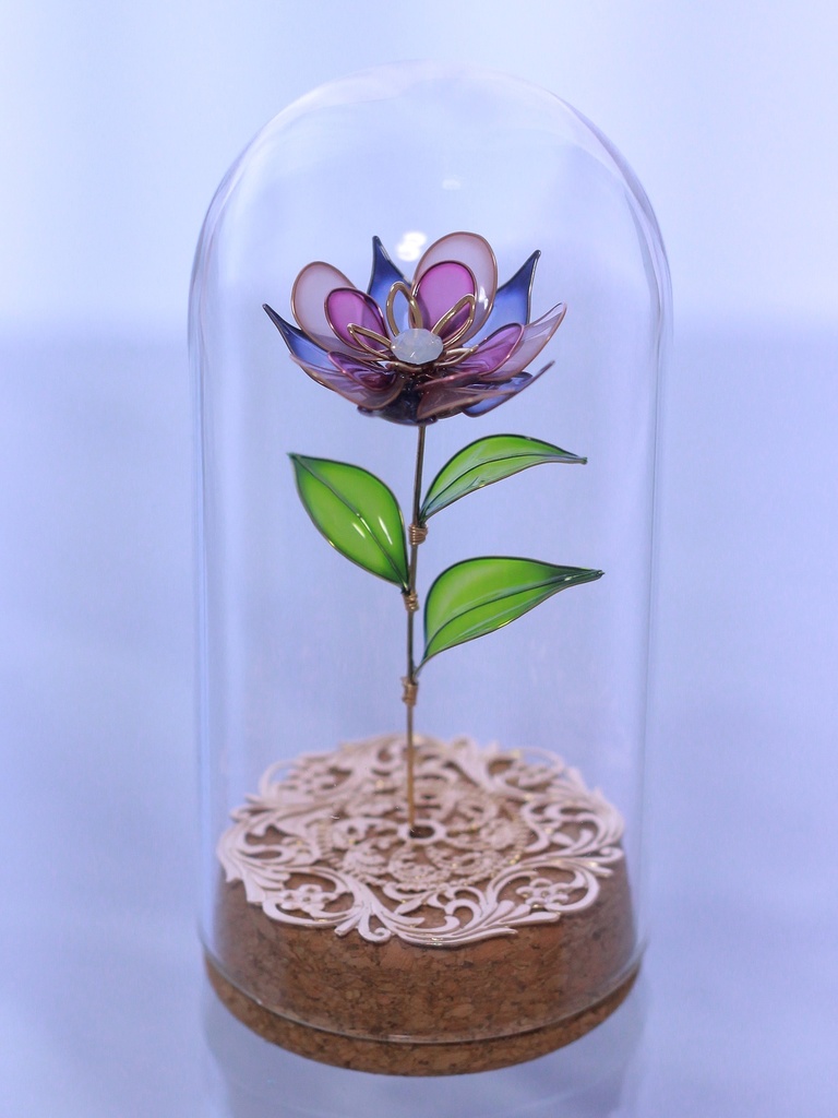 【崩スタ】モチーフ植物標本