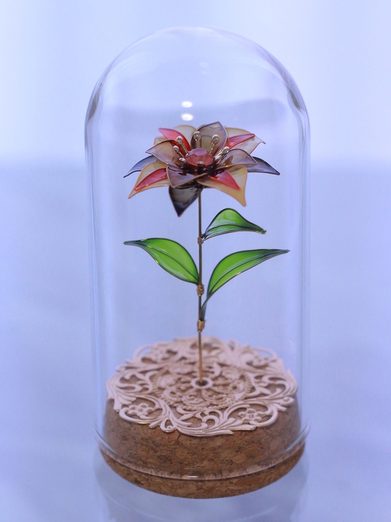 【崩スタ】モチーフ植物標本