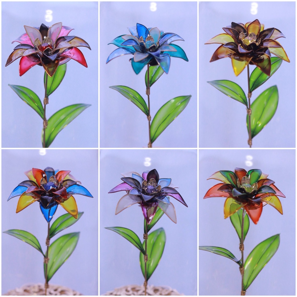 モチーフ植物標本(原神)