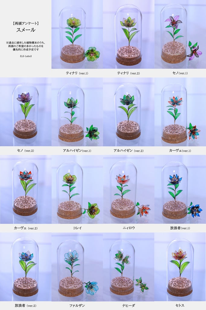 【再頒】スメール植物標本
