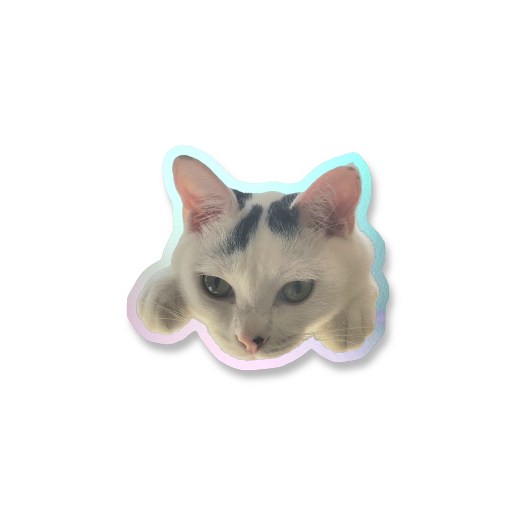 愛猫ステッカー ver.ふぅ