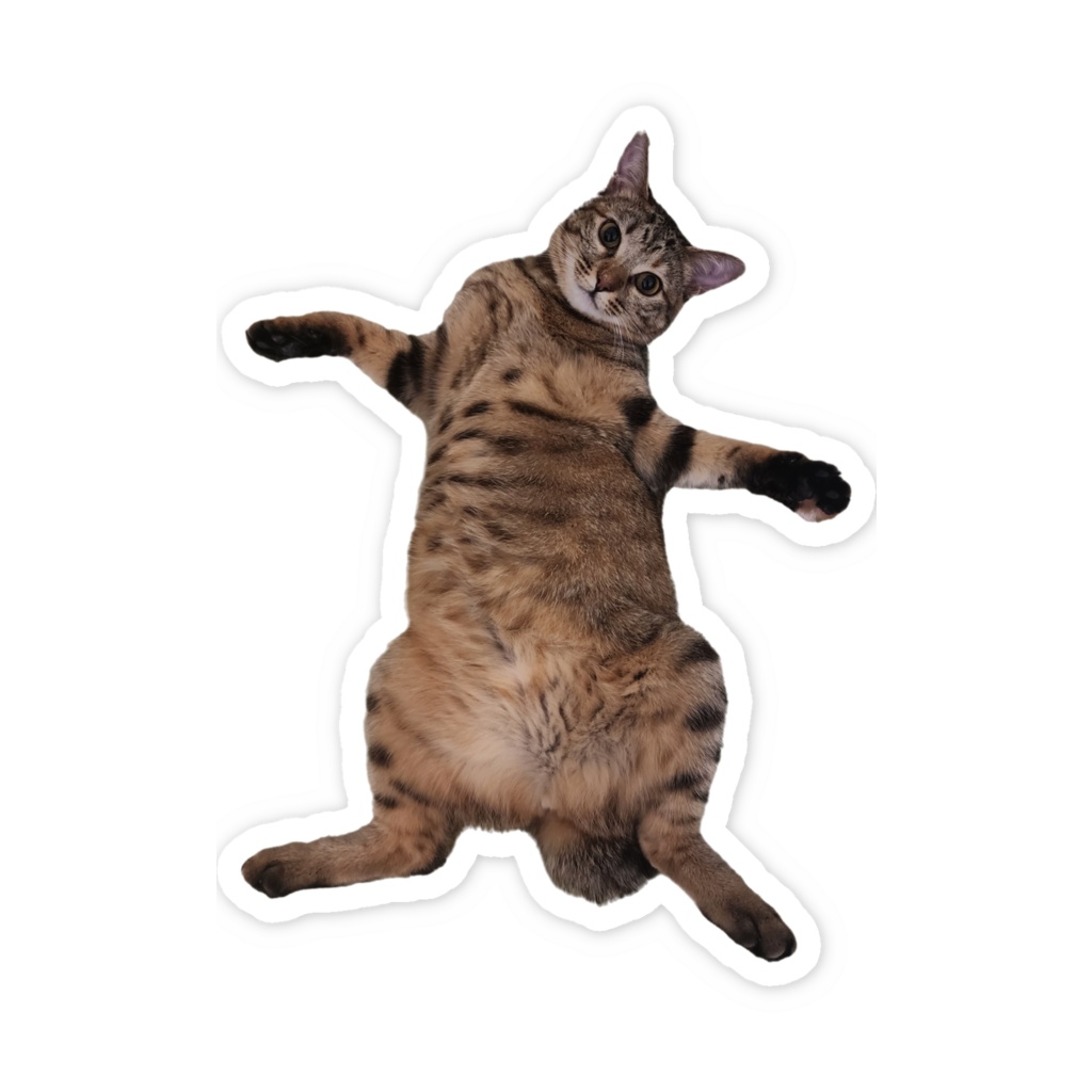 愛猫ステッカー