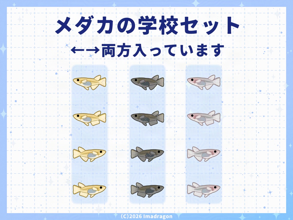 泳ぐ魚アニメ!メダカの学校┆動くAPNG/GIF 素材セット┆全12種┆商用利用可