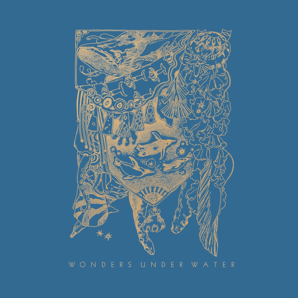 Wonders Under Water -original water animal character illustrations-