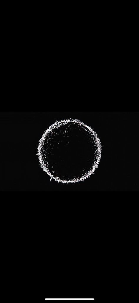 モノクロ 円環コア 抽象テクノ VJループ(HD・シームレス)