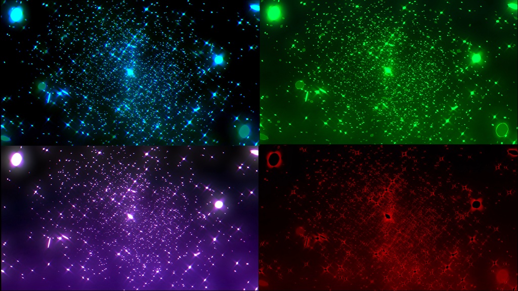 エネルギーコアVJループセット|脈動・安定・流動・不安定 4種パック(HD)