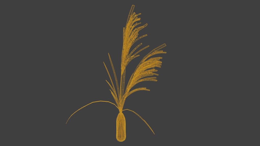 ススキ 3Dモデル