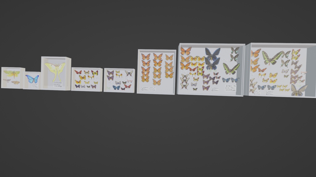 ドイツ箱 3Dモデル 蝶 標本 昆虫 8箱 +1