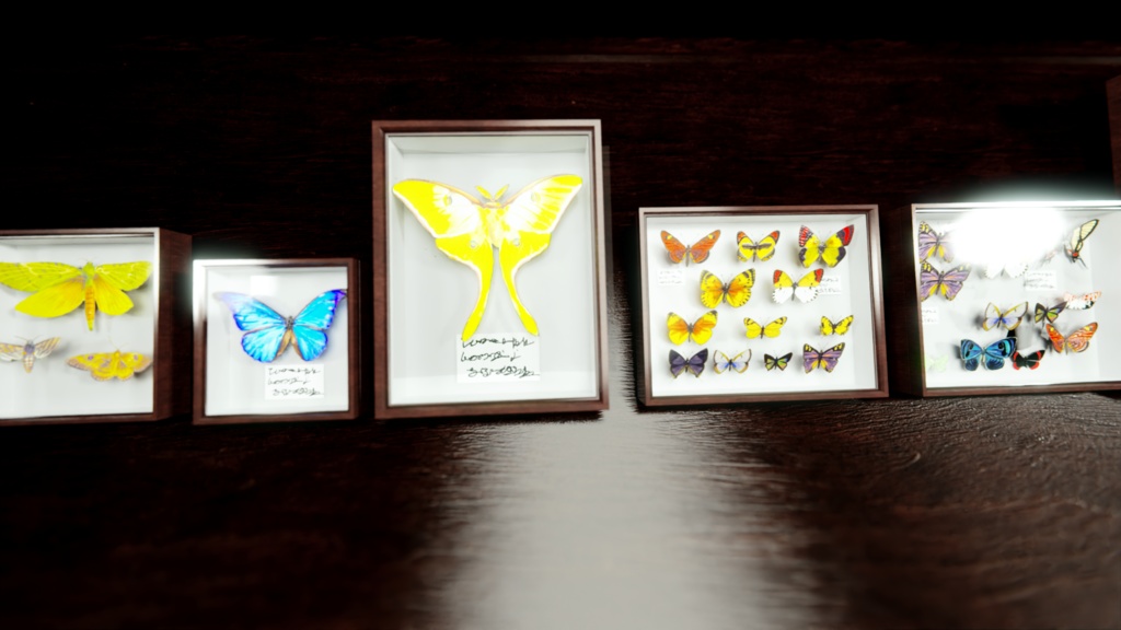 ドイツ箱 3Dモデル 蝶 標本 昆虫 8箱 +1