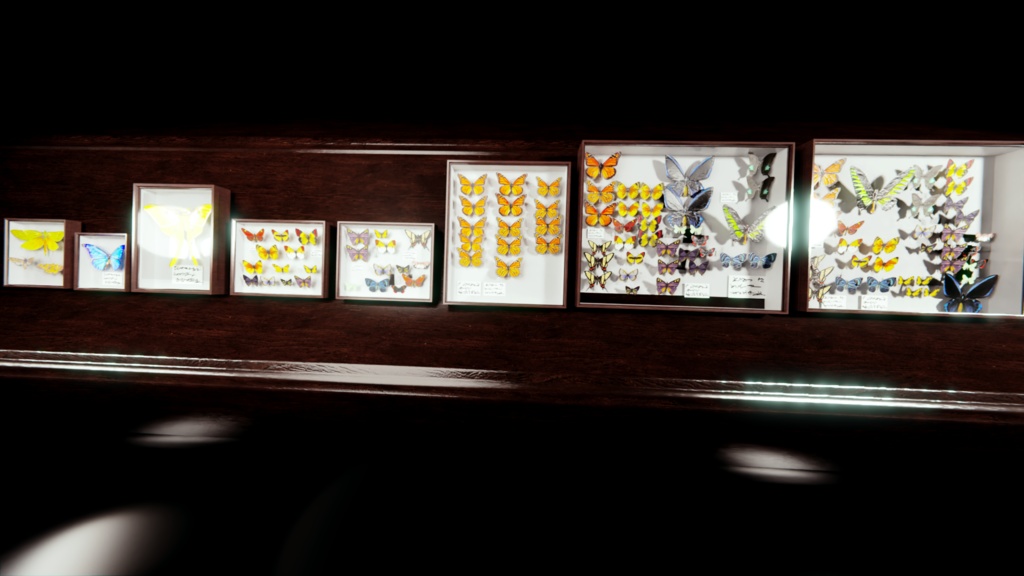 ドイツ箱 3Dモデル 蝶 標本 昆虫 8箱 +1