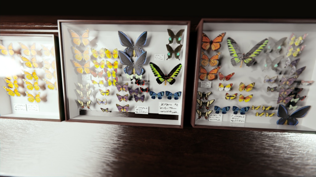 ドイツ箱 3Dモデル 蝶 標本 昆虫 8箱 +1