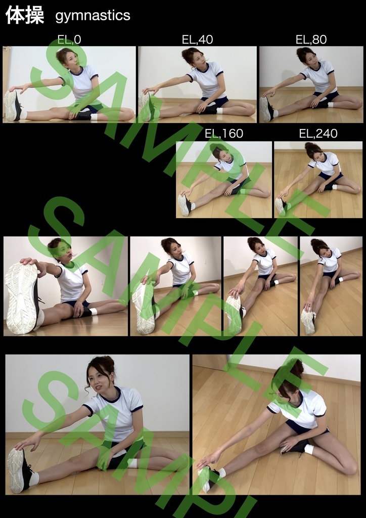 アニメ私塾ポーズ集⑤584体収録体操服編※ダウンロード商品