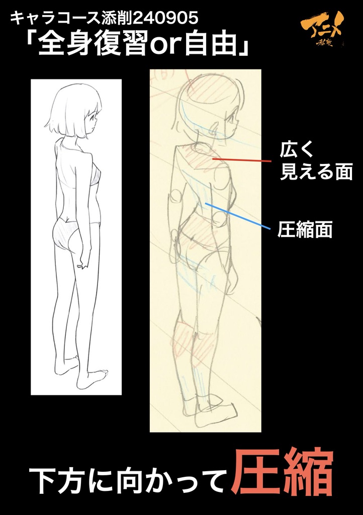 アニメ私塾2024年キャラコース添削集まとめ480点 ※ダウンロード商品