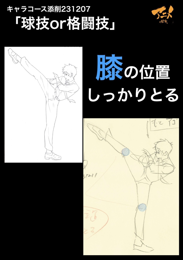 アニメ私塾3年分 2022~2024年キャラコース添削集まとめ 全1539p+解説動画YouTubeQRコード付き(合計20時間以上) ※ダウンロード商品