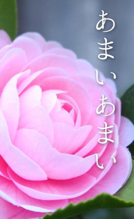 あまいあまい