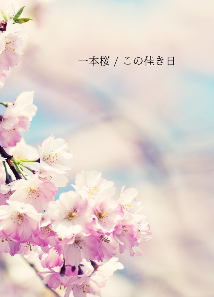 『一本桜/この佳き日』