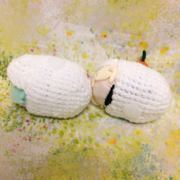 もちもち着ぐるみ【もちもち鏡もち】