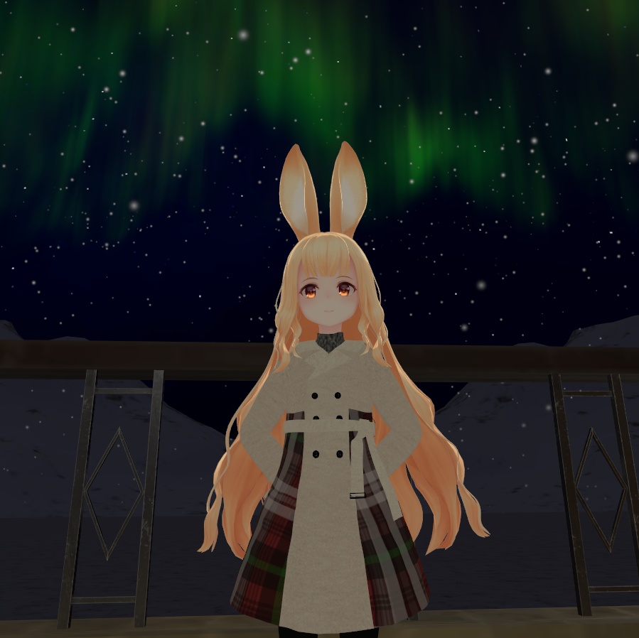 チェックコート