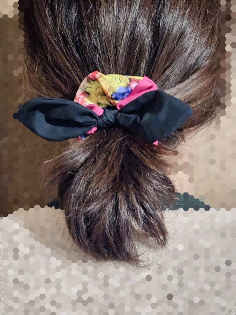 ふぉーらい風ロシュ(シュシュ)