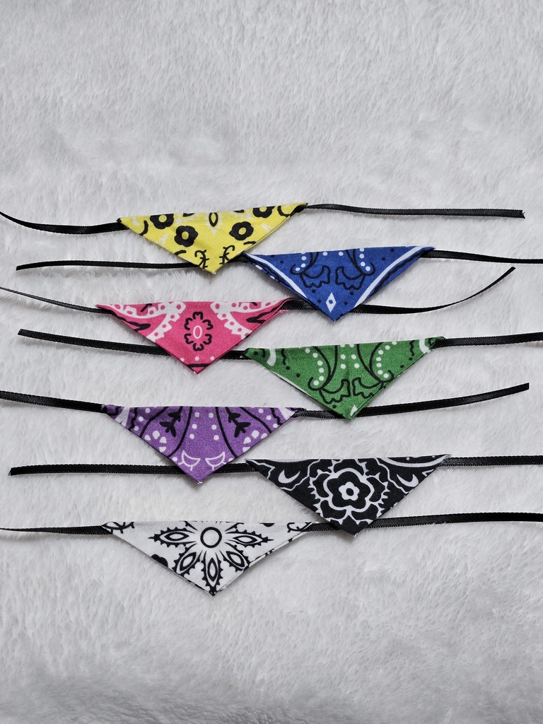 【持ち帰り】たぴぬいのスタイ