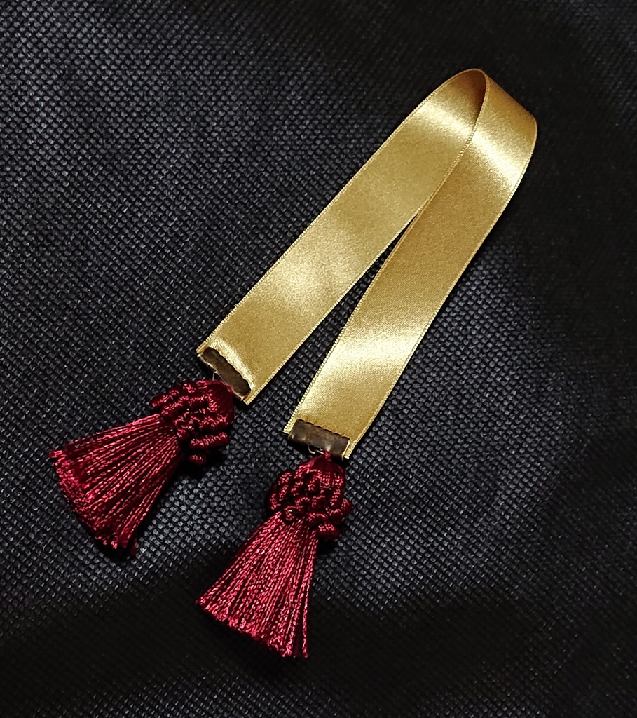 【書籍版】トゥイラン通り