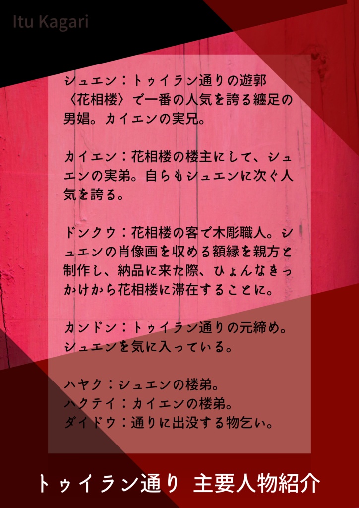 【書籍版】トゥイラン通り