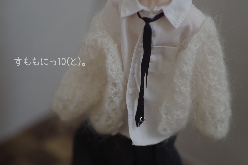 2025秋の受注ページ【すももにっ10(と)。】