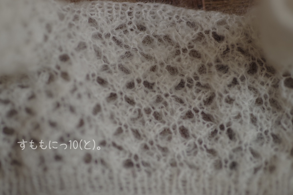 2025秋の受注ページ【すももにっ10(と)。】