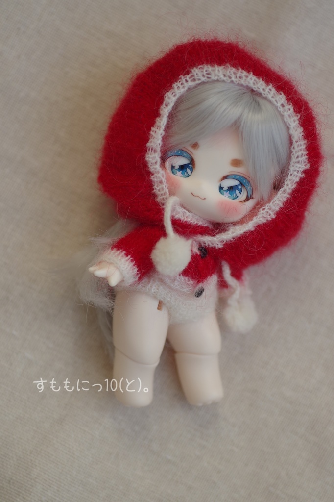 サンタな、セーターセット(子犬わたあめ用)