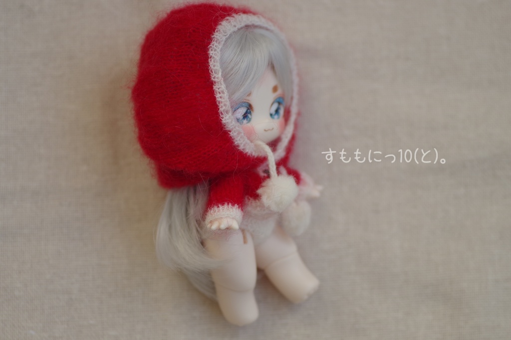 サンタな、セーターセット(子犬わたあめ用)