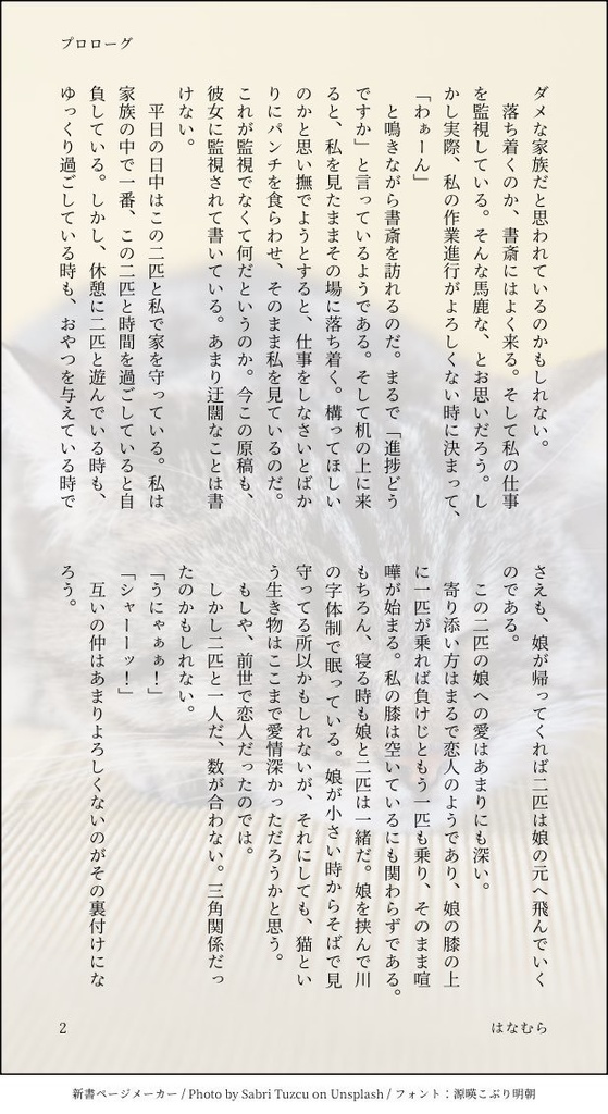 猫様たちは魔女!? 〜JKぐだちゃんとプロトマーリン(猫)とモルガン(猫)の怪奇事件簿〜