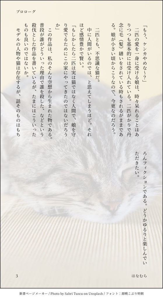 猫様たちは魔女!? 〜JKぐだちゃんとプロトマーリン(猫)とモルガン(猫)の怪奇事件簿〜