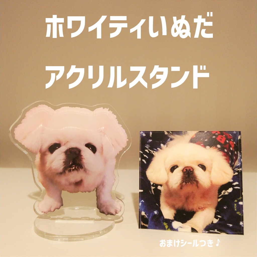 見つめて犬アクリルスタンド