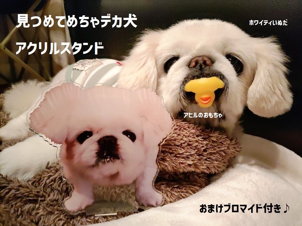 見つめてめちゃデカ犬アクリルスタンド