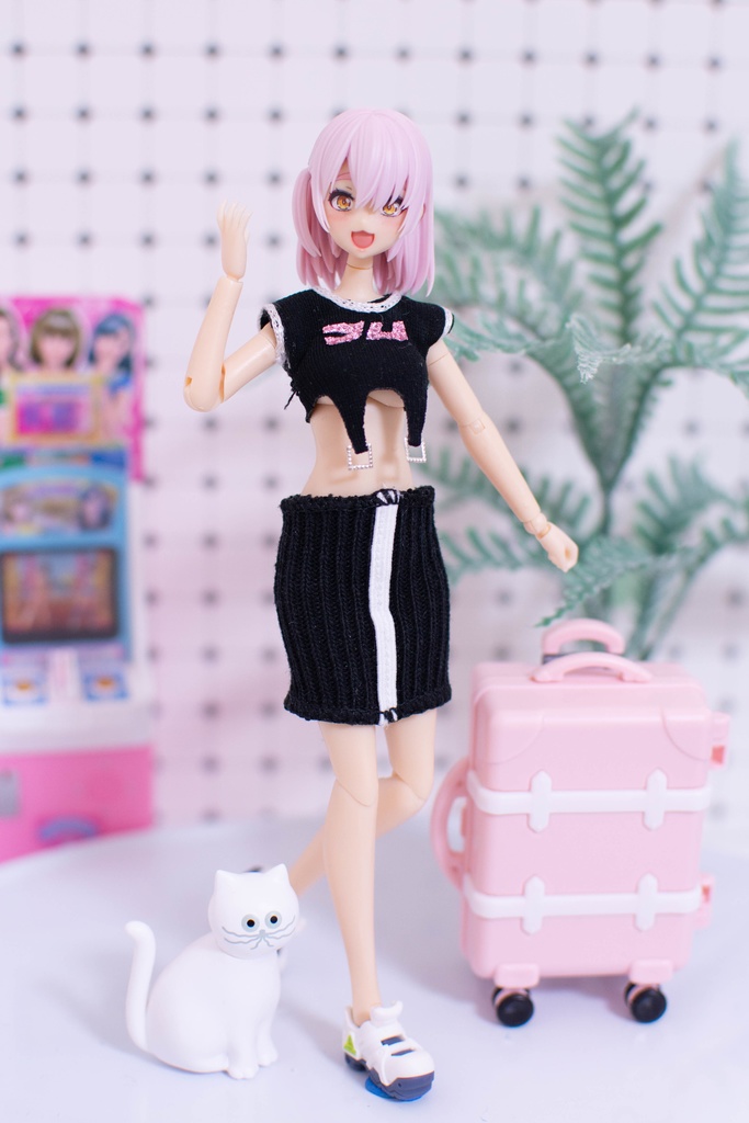 【1/12用】さいばーわんぴセット