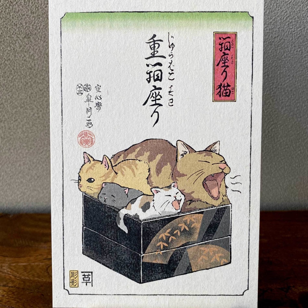 【絵葉書セット】箱座り猫:山吹色
