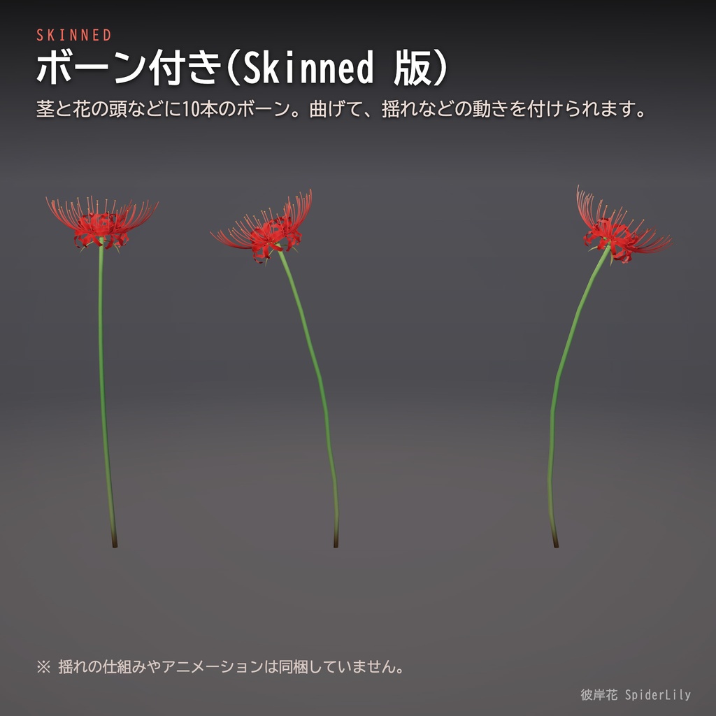 【Unity】彼岸花 -SpiderLily- 3Dモデル 5色・花びら演出つき
