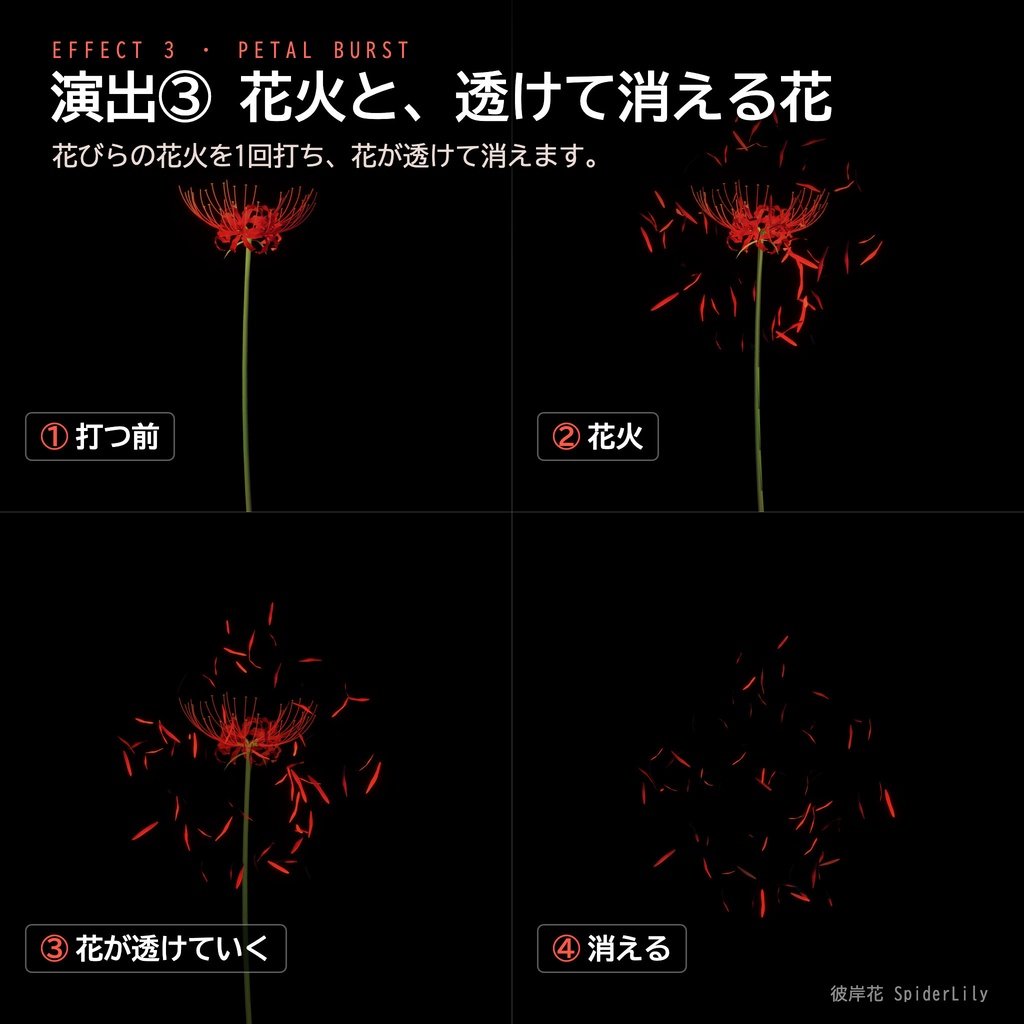 【Unity】彼岸花 -SpiderLily- 3Dモデル 5色・花びら演出つき