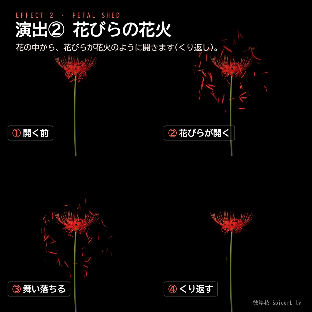 【Unity】彼岸花 -SpiderLily- 3Dモデル 5色・花びら演出つき