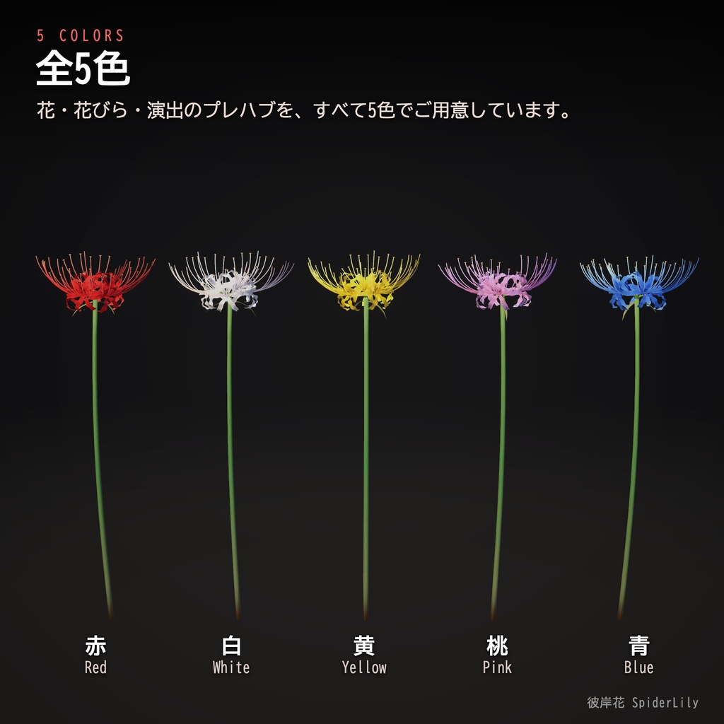 【Unity】彼岸花 -SpiderLily- 3Dモデル 5色・花びら演出つき